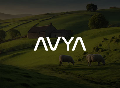 Why Avya Projects Focus on Sustainable Living - Avya Builders Blog